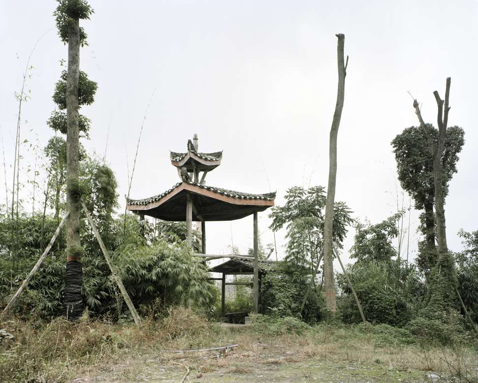 Forest 7 (2011) shows recently transplanted trees in Chongqing.