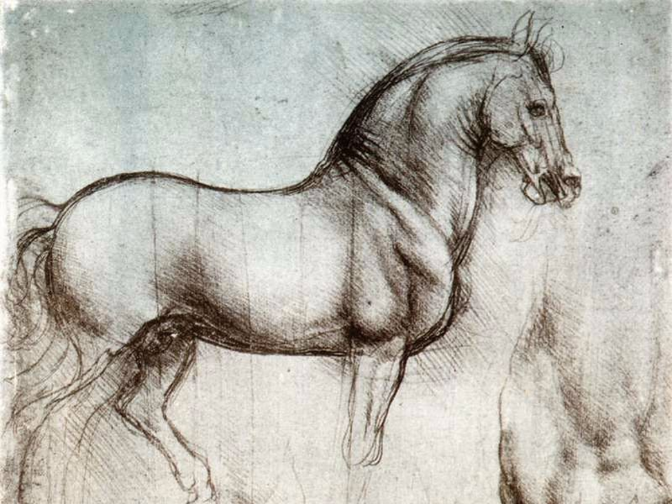 Da Vinci's study of horses. Photo: Wikimedia Commons