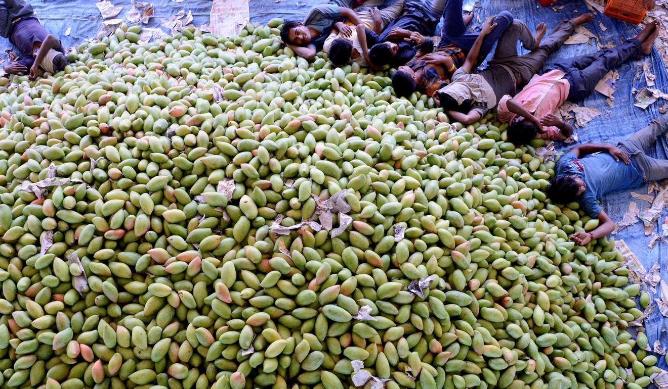 Indian workers rest after unloading mangoes at the Gaddiannaram fruit market on the outskirts of Hyderabad on April 12. India has a serious unemployment problem, as there are not enough jobs to meet the growing needs of its youth. Photo: AFP