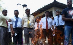 Sri Lankan customs officers watch as illegal trafficked peacock feather and birds’ nests are destroyed in Colombo. Photo: AFP