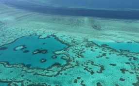 The Great Barrier Reef off the coast of the Whitsunday Islands, along the central coast of Queensland. Photo: AFP The Great Barrier Reef off the coast of the Whitsunday Islands, along the central coast of Queensland. Photo: AFP
