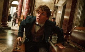 Eddie Redmayne stars in J.K. Rowling’s Fantastic Beasts and Where to Find Them.