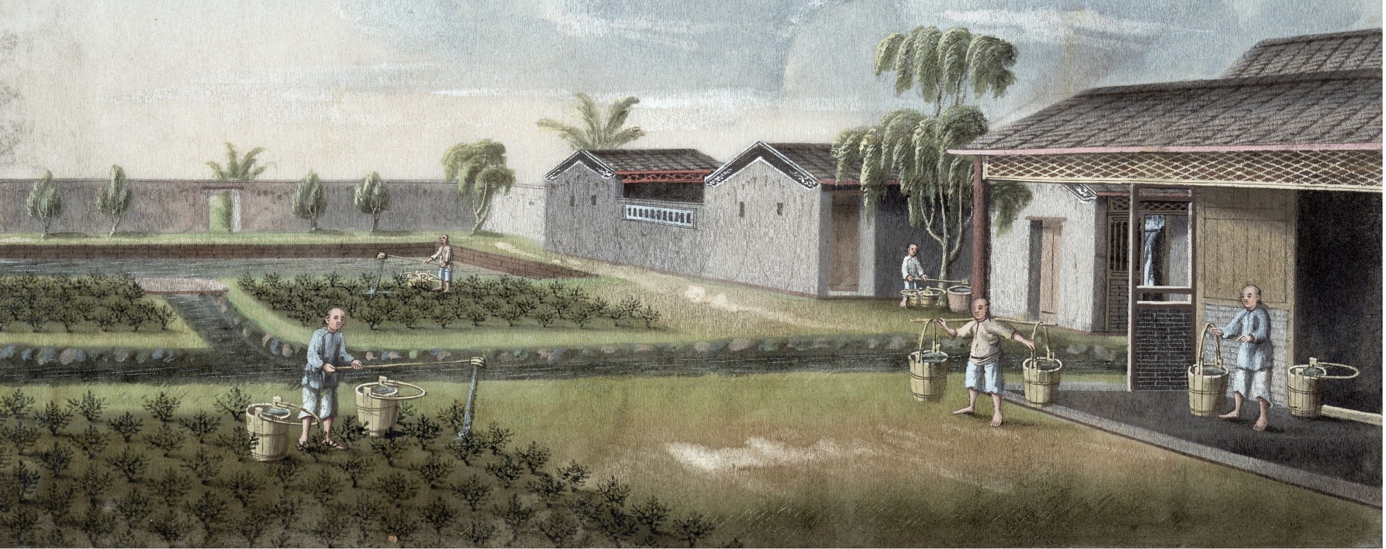 A tea estate in 19th-century China. Picture: Alamy