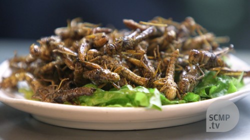 Dare to try? Hong Kong restaurant serves Yunnan-style fried insect dishes