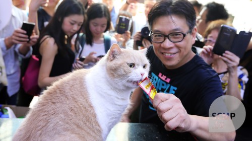 Dozens of fans bid farewell to Hong Kong celebrity cat Brother Cream