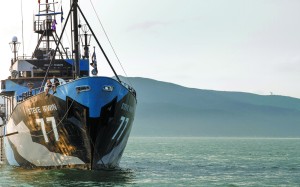 The Steve Irwin anchored in Hong Kong waters last month. Photos: James Wendlinger The Steve Irwin anchored in Hong Kong waters last month. Photos: James Wendlinger