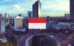 Indonesia Country Report