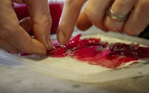 Documentary follows mercurial chef Réne Redzepi and his famous restaurant for a year of highs and lows, but lacks a story for general appeal