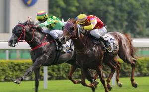 Green Dispatch (left) wins at Sha Tin last start. Photo: Kenneth Chan