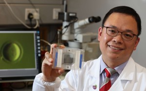 Professor Tin Lap Lee, associate professor of the school of biomedical sciences. Photo: SCMP Pictures