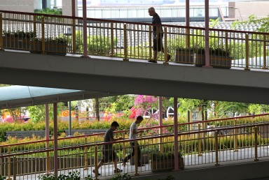 A walkability survey found that 39 per cent of daily trips in Hong Kong are made entirely on foot, a reflection of Hongkongers’ willingness to walk. Photo: Dickson Lee
