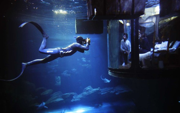 Sleep with the fishes - A diver takes photographs of people inside a glass-walled “bedroom” installed in the shark tank at the Aquarium of Paris in the French capital. Airbnb and the aquarium are running a contest with winners spending a night in the underwater structure. The aim is for people to gain more knowledge about “misunderstood” sharks. Photo: Reuters Sleep with the fishes - A diver takes photographs of people inside a glass-walled “bedroom” installed in the shark tank at the Aquarium of Paris in the French capital. Airbnb and the aquarium are running a contest with winners spending a night in the underwater structure. The aim is for people to gain more knowledge about “misunderstood” sharks. Photo: Reuters