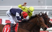 Joao Moreira (Heartbreak City) pats Melbourne Cup winner Kerrin McEvoy (Almandin) on the back just metres after the finishing post. Photos: EPA/DAN HIMBRECHTS