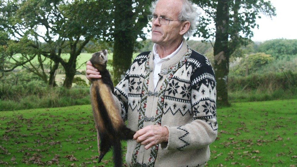 Dogs, cats and badgers all on menu for roadkill veteran Arthur Boyt