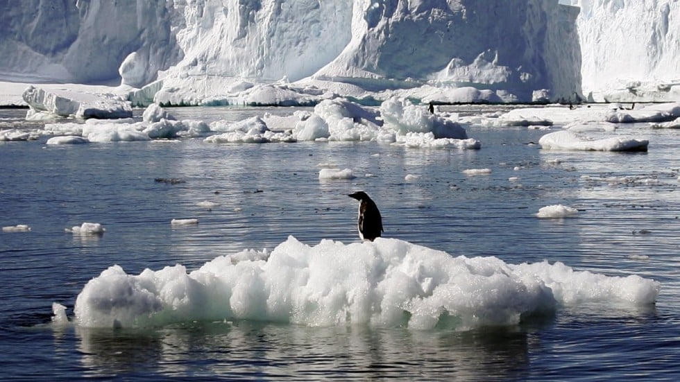 climate changing in antartica Breeding habitats driven by the changing climate a positive effect of the ozone hole the antarctic “ozone hole” – a human-caused environmental impact. climate changing in antartica Breeding habitats driven by the changing climate a positive effect of the ozone hole the antarctic “ozone hole” – a human-caused environmental impact.