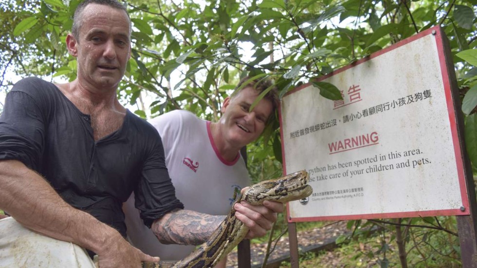 Pet Eating Hong Kong Python Killed Despite Appeals From