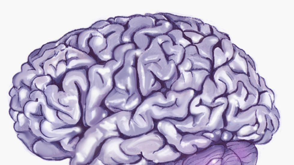 How does physical activity improve mental health picture 2