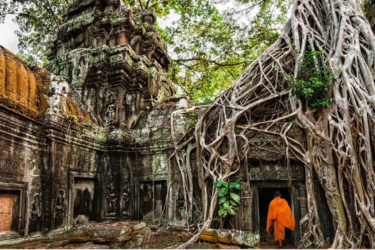 Ta Prohm temple, Angkor | SCMP