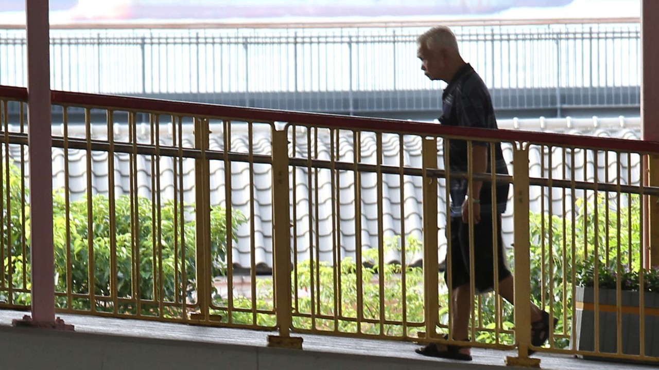 A walkability survey found that 39 per cent of daily trips in Hong Kong are made entirely on foot, a reflection of Hongkongers’ willingness to walk. Photo: Dickson Lee