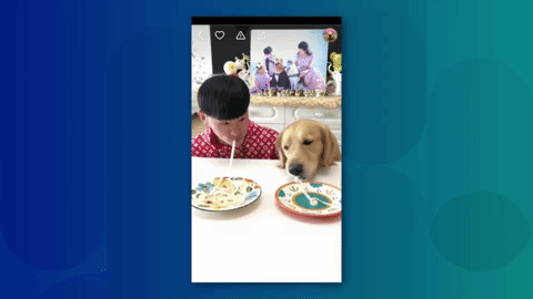 Kuaishou user Jinmaodanhuang sells pet supplies through his Taobao store linked to the short video platform. (Picture: Kuaishou)