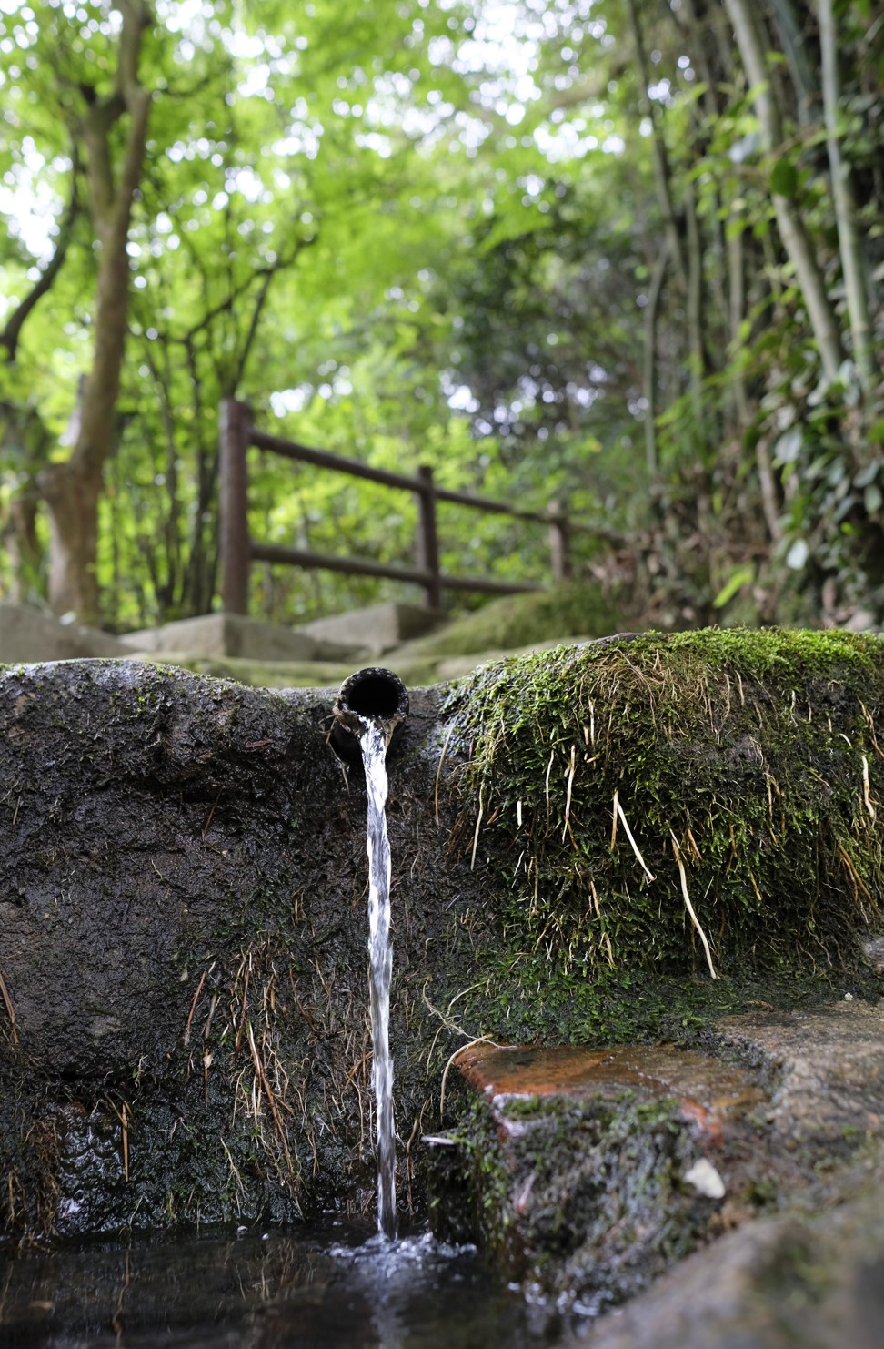 Some walkers who stop at the Chinese herbal garden in Lung Fu Shan are offered tea made using spring water. Photo: James Wendlinger