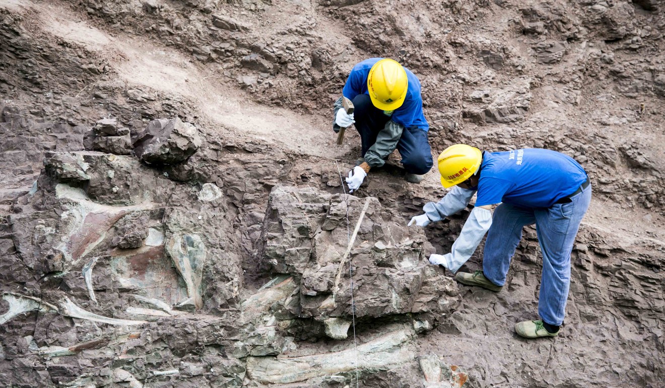 Researchers excavate a dinosaur fossil. More than 5,000 fossils have been excavated from the site, and many more a believed to awaiting discovery. Photo: Xinhua