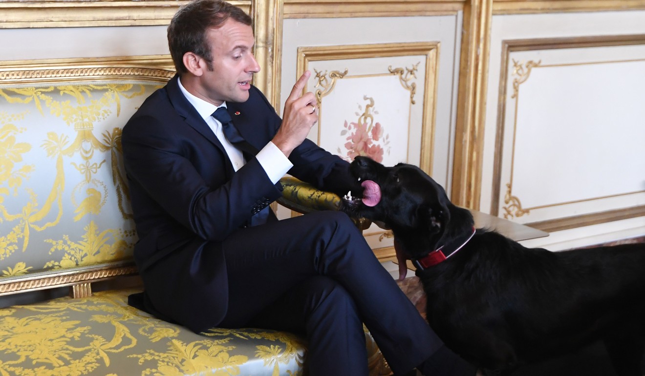 Macron and his dog Nemo. Photo: AFP