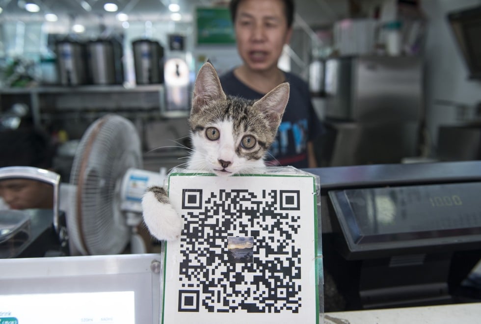 A QR code is displayed in a tea shop in Shanghai.