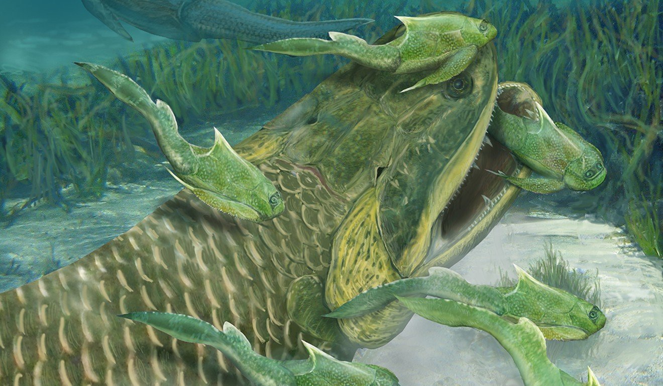 Какими были первые рыбы. Девонский период тиктаалик. Девонский период плакодермы. Динозавры девонского периода. ДУНКЛЕОСТЕЙ.