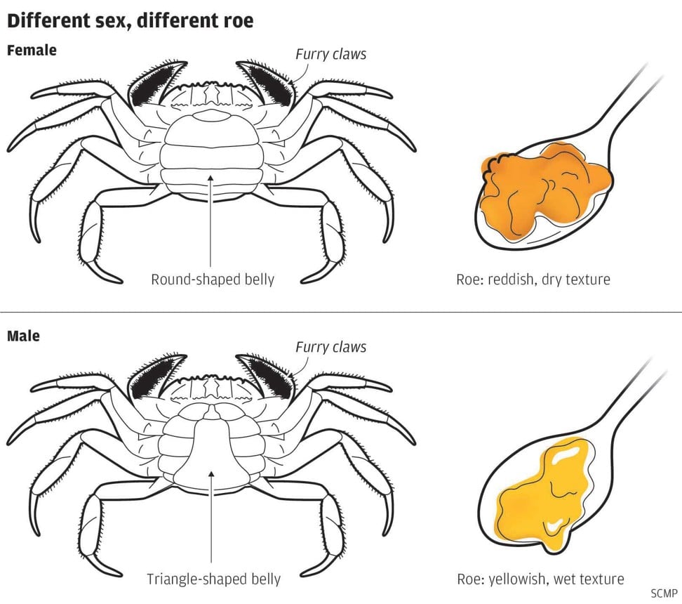 The differences between hairy crab genders and their roe. Graphic: SCMP
