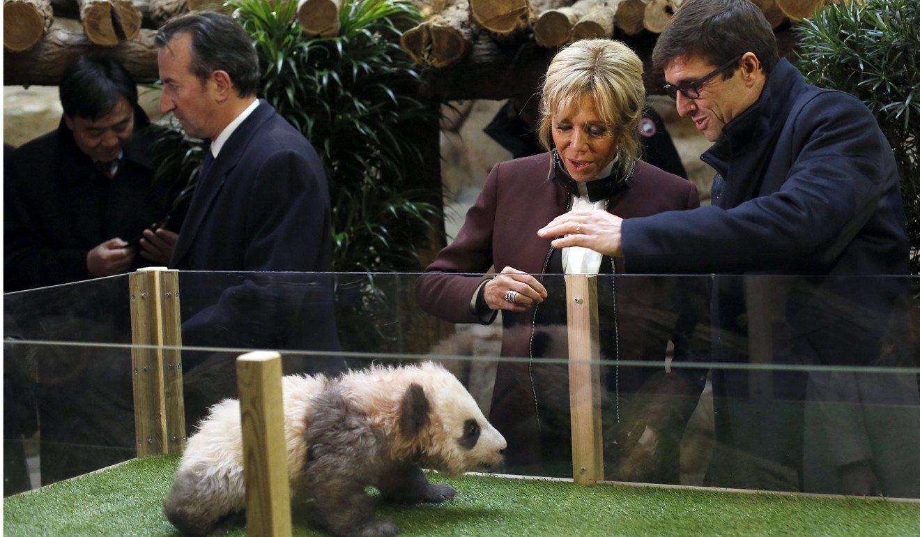 French First lady Brigitte Macron attends a naming ceremony of the newborn baby panda Yuan Meng' on Monday at Beauval zoo. Photo: EPA