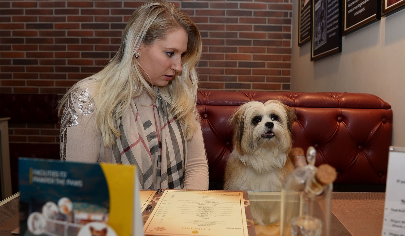 Katriina Bahri sits with her dog Biloo inside the cafe at the luxury dog hotel Critterati. Photo: AFP