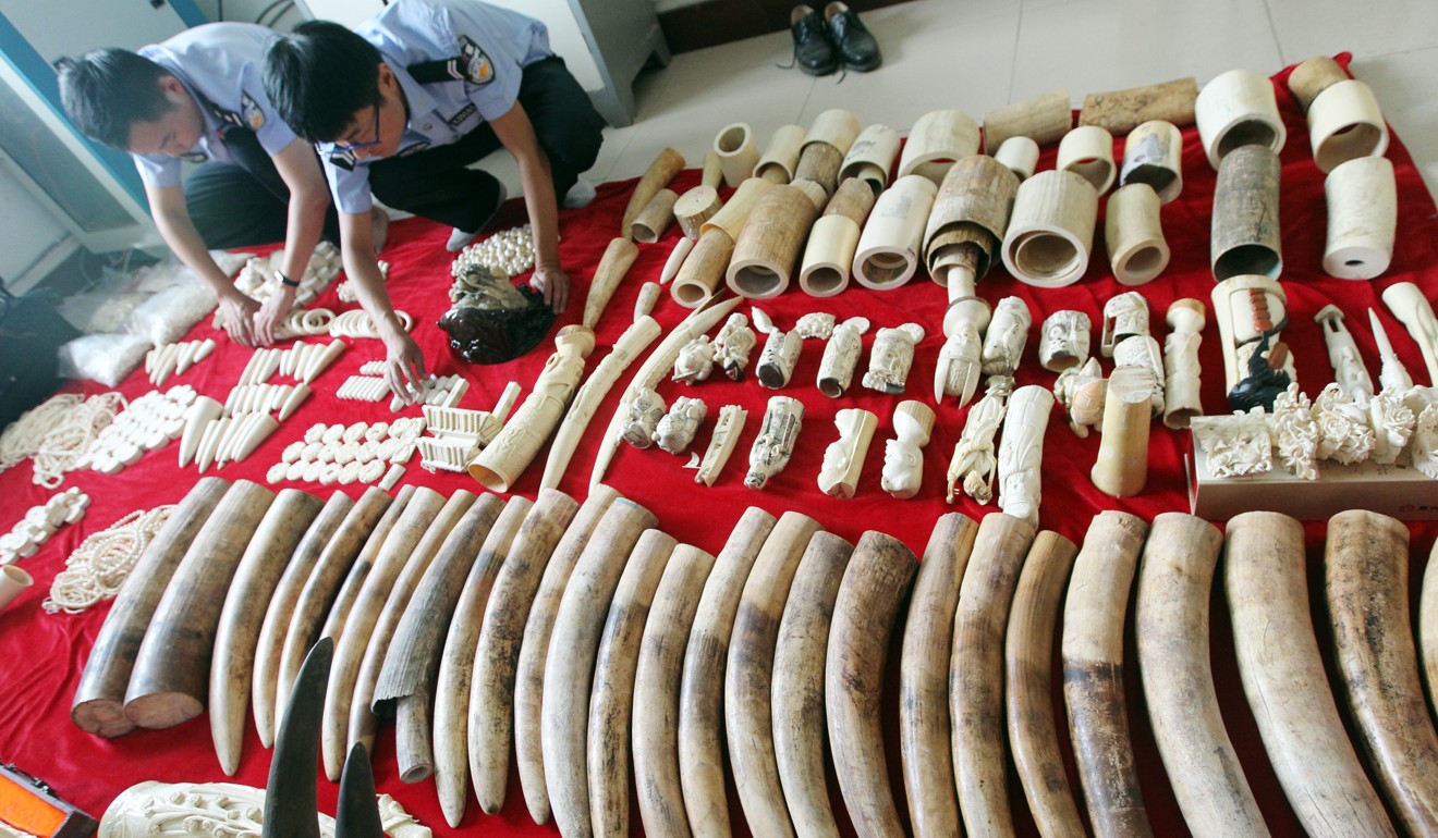China’s ban on ivory purchases applies also to those made online and overseas. Photo: Imaginechina