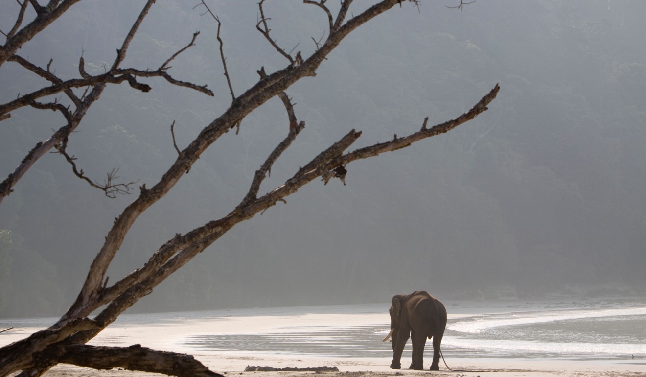 India’s Andaman and Nicobar Islands is one place to escape the crowds. Photo: Alamy