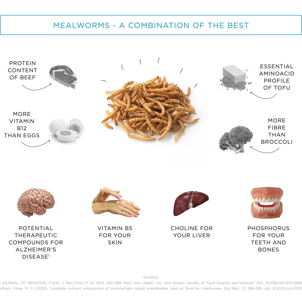The benefits of a mealworm diet.