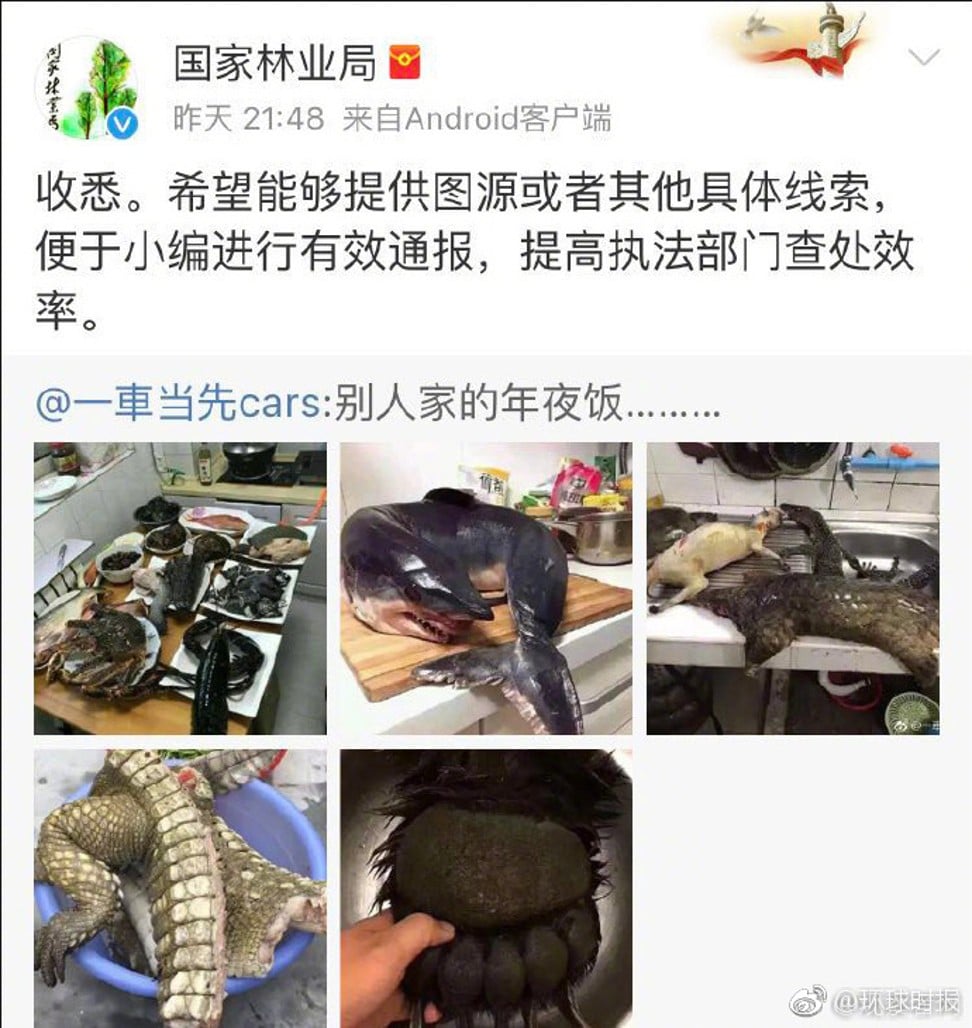 The social media post included numerous sickening images, including one of a man holding a severed bear’s paw. Photo: Weibo