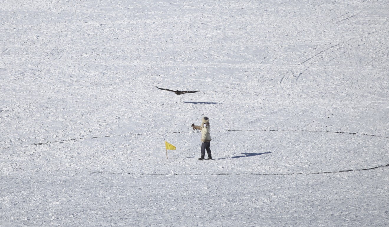 An eagle answers its owner’s call at the Spring Golden Eagle Festival. Hunters aged 14 to 86 competed to see who could command their eagle to land on their arm within one of two circles on the snow using the fewest calls. Photo: Anand Tumurtogoo