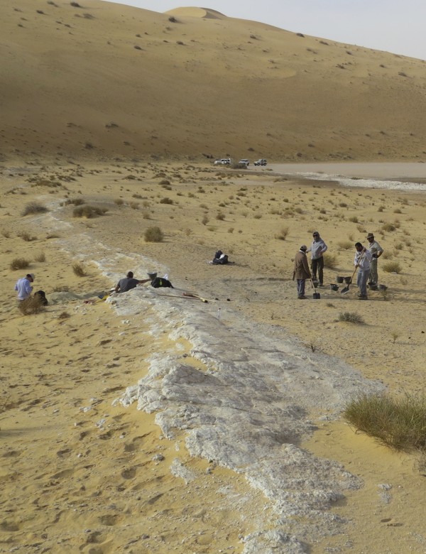 This 2016 photo provided by Michael Petraglia shows a general view of the excavations at the Al Wusta archaeological site in Saudi Arabia. The ancient lake bed (in white) is surrounded by sand dunes of the Nafud Desert. In a report released on April 9, 2018, researchers say a fossil finger bone found here provides a new clue about when and how our species migrated out of Africa, with hunter-gatherers reaching this area by 85,000 years ago. Photo: Michael Petraglia via AP