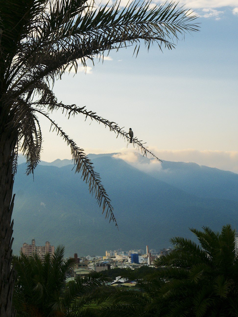 The mountains around Hualien city. Photo: Stuart Heaver