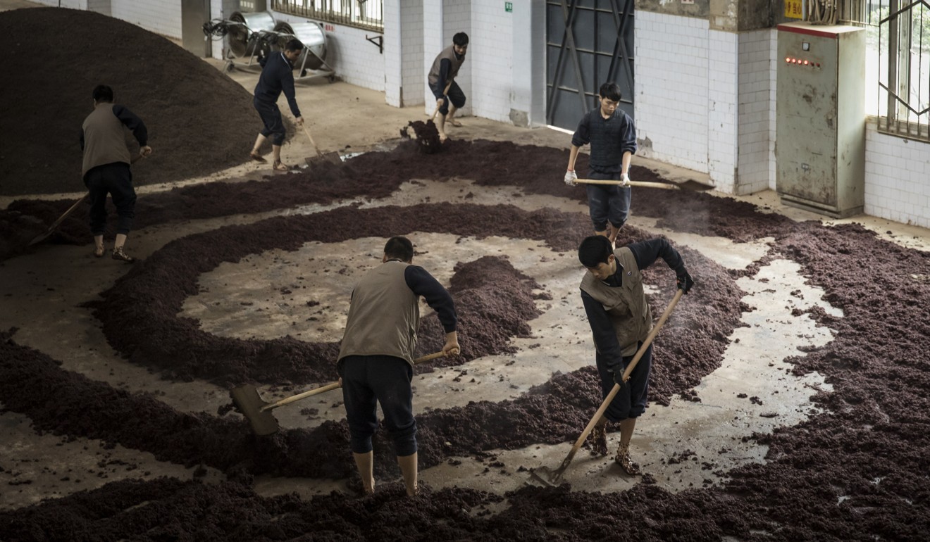 Workers spread steamed sorghum to cool ahead of fermentation at the Kweichow Moutai distillery in Guizhou province making the Chinese liquor baijiu. Photo: Bloomberg