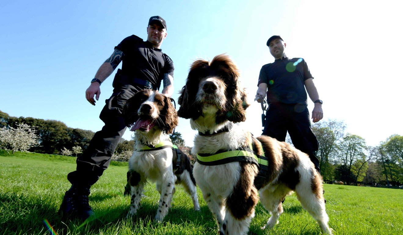 PC Jim Hyman (L) with Yury and PC Paul Shutler with Gus of Thames Valley Police Joint Operations Dog Unit in Home Park, Windso. Photo: Agence France-Presse