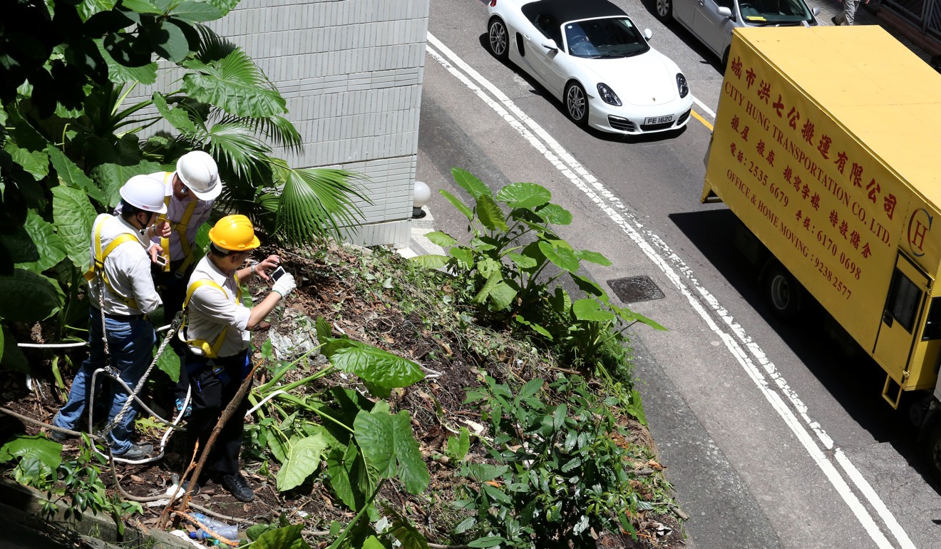 Workers clear the area alongside Robinson Road in Mid-Levels on August 15, 2014, after a pregnant woman was struck and killed by a falling tree the previous day. Photo: Felix Wong