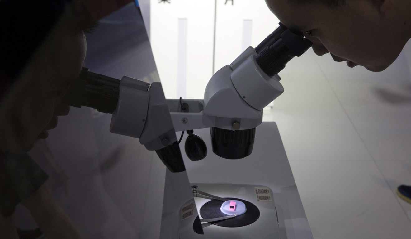 A visitor to the 21st China Beijing International High-tech Expo looks at a computer chip through a microscope. Photo: AP