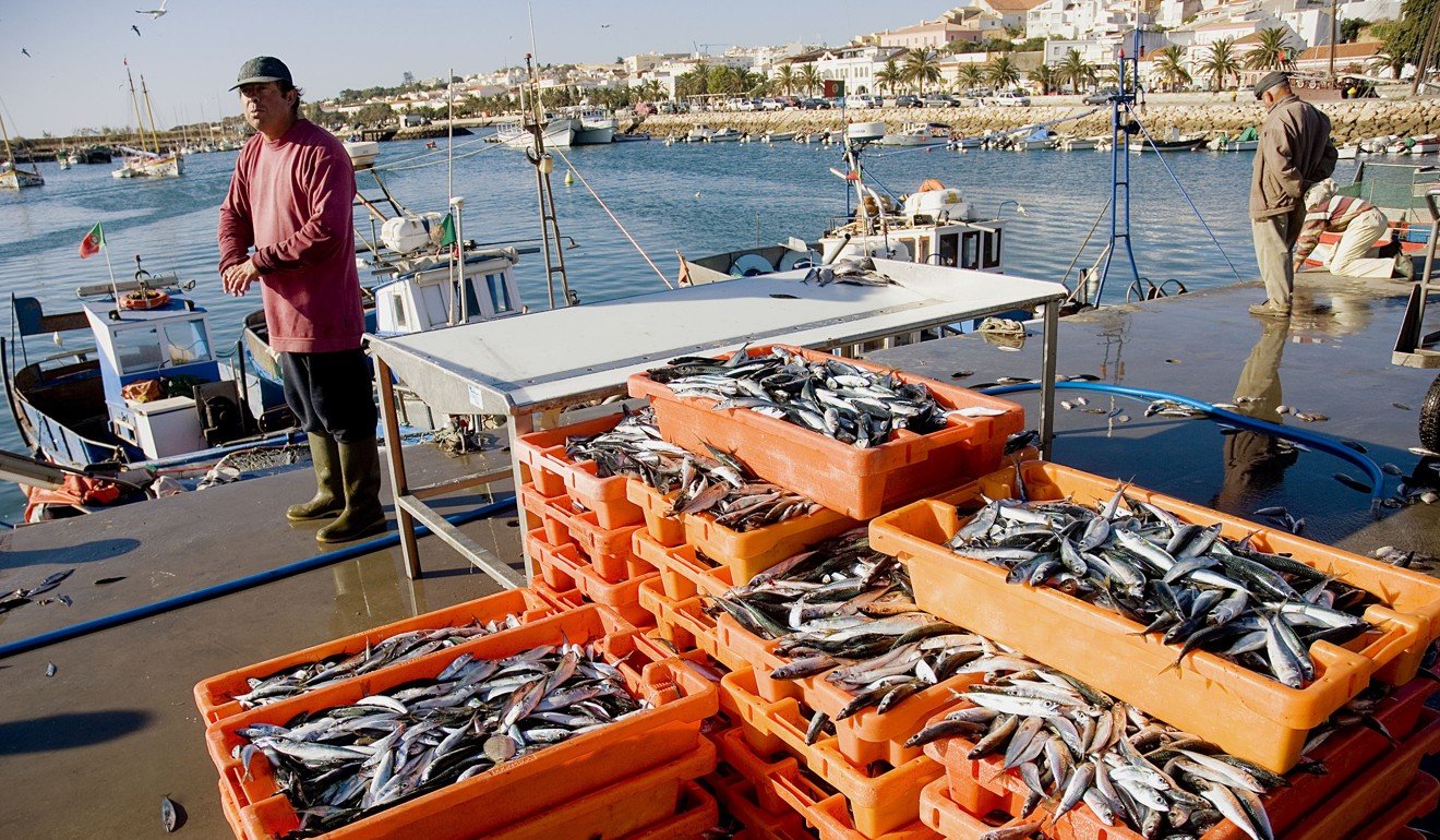 Fishermen land freshly caught fish in the Algarve, Portugal. Picture: Alamy