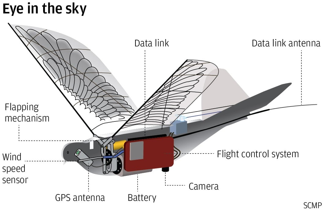 government bird drones