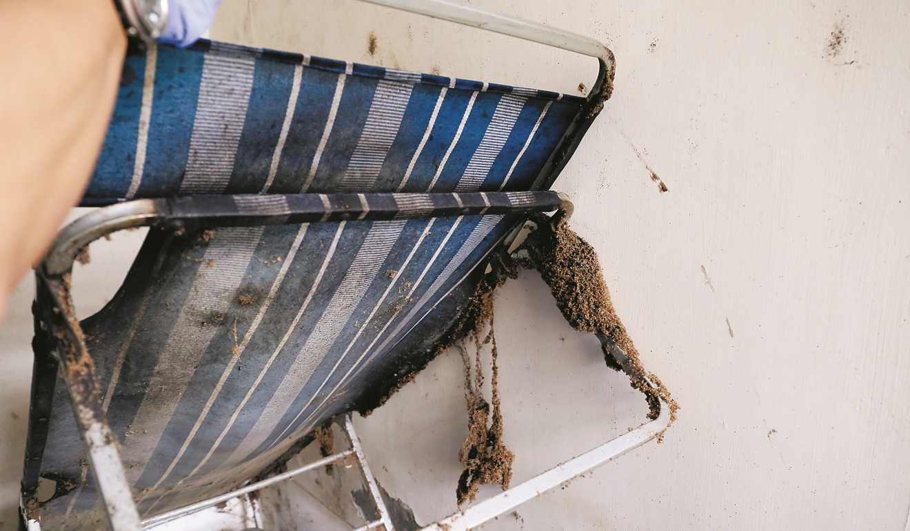 Bedbugs, their shells, excrement and eggs hang from a bed frame in a flat in Tuen Mun, Hong Kong, which a volunteer extermination unit recently tackled. Photo: Rachel Cheung