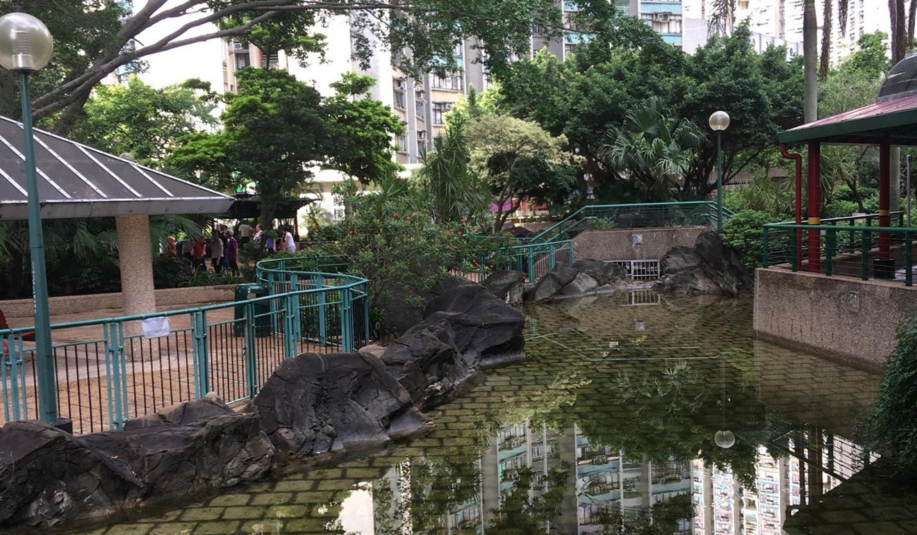 Yuen Long district councillor Ma Shuk-yin suggested removing a large population of tadpoles spotted at Tin Yiu Estate. Photo: Facebook