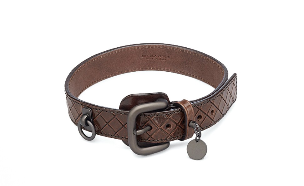 From puppy to yuppie 5 indulgent accessories for man’s best friend