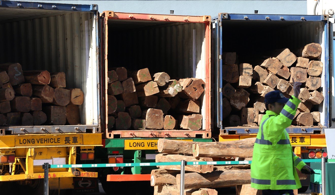 Hong Kong customs seize a load of smuggled endangered wood. Photo: Nora Tam