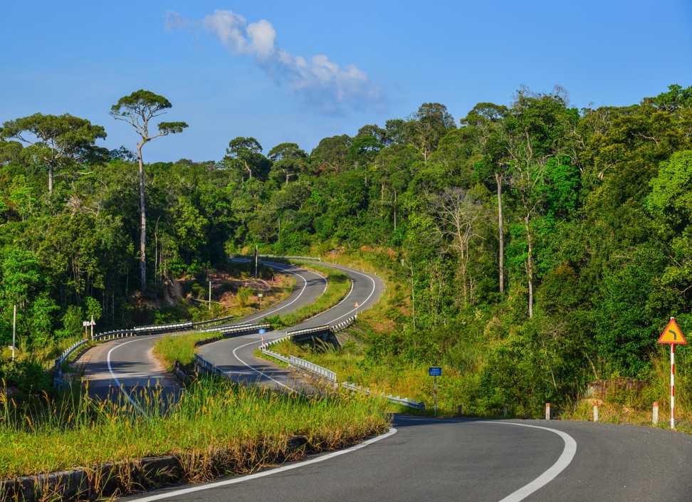 A road weaves its way through a forest on Phu Quoc. Photo: Alamy